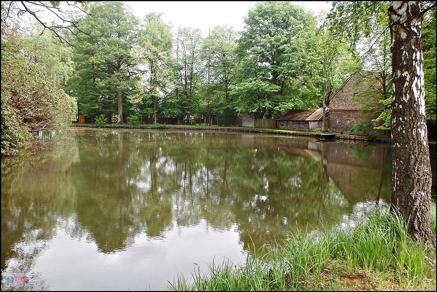 Młyn w lesie