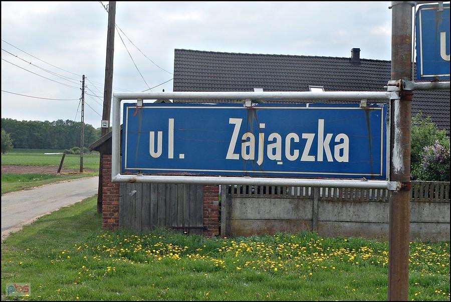 ul. Zajączka w Wielopolu