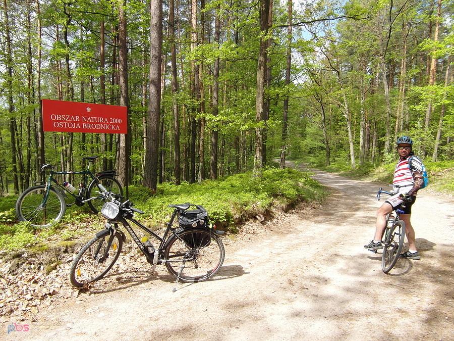 Brodnicki Park Krajobrazowy