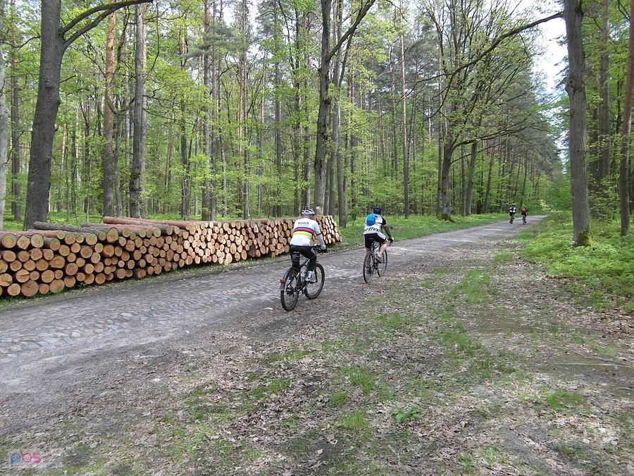 Brodnicki Park Krajobrazowy