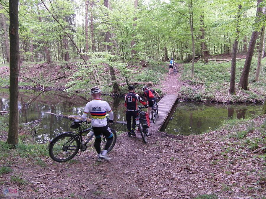 Brodnicki Park Krajobrazowy