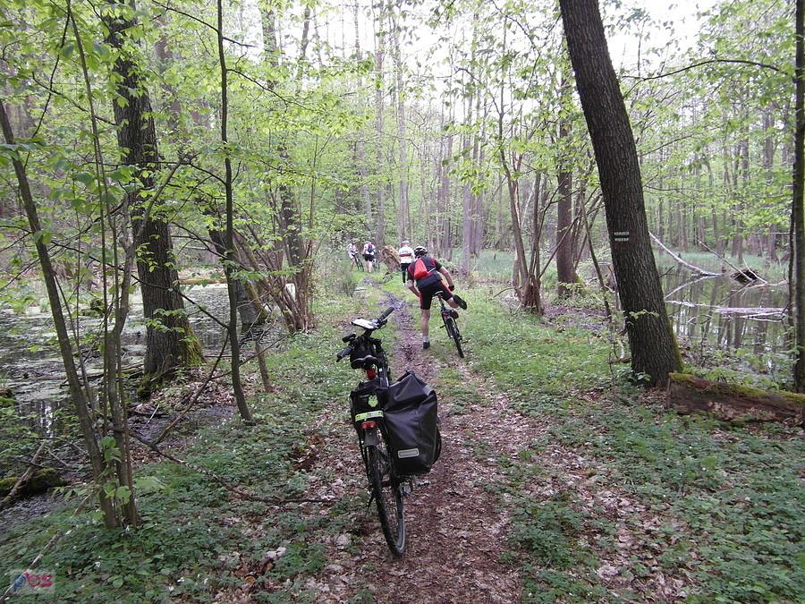 Brodnicki Park Krajobrazowy