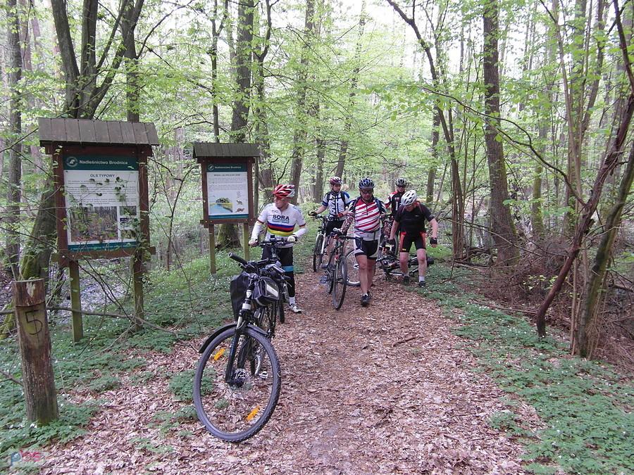 Brodnicki Park Krajobrazowy