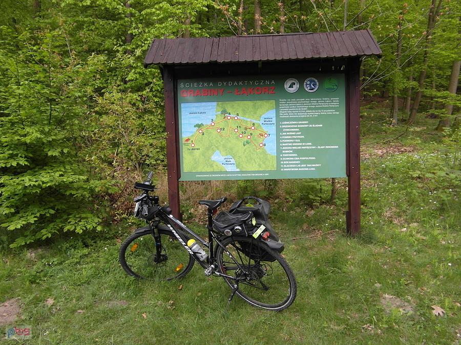 Brodnicki Park Krajobrazowy