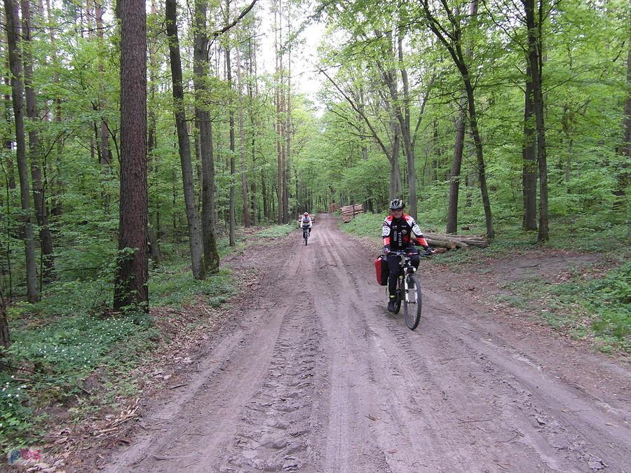 Brodnicki Park Krajobrazowy