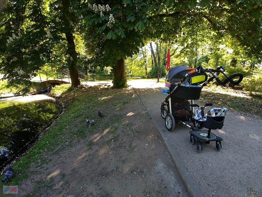 Polcia z racji przespania spaceru ma zdjęcia tylko wózka.