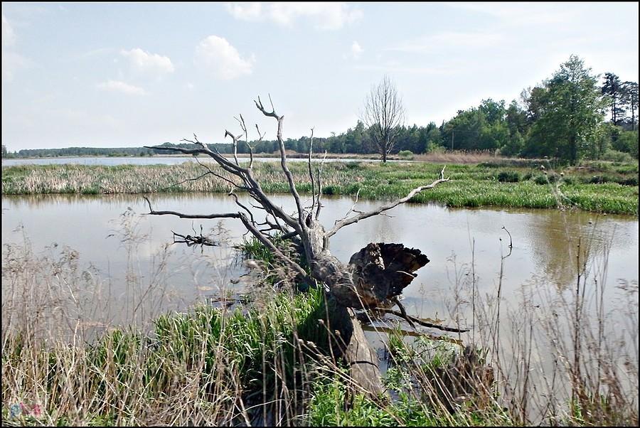 Piękne okoliczności przyrody