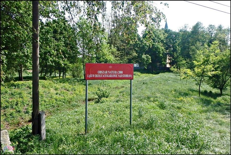 Kolejna do kolekcji