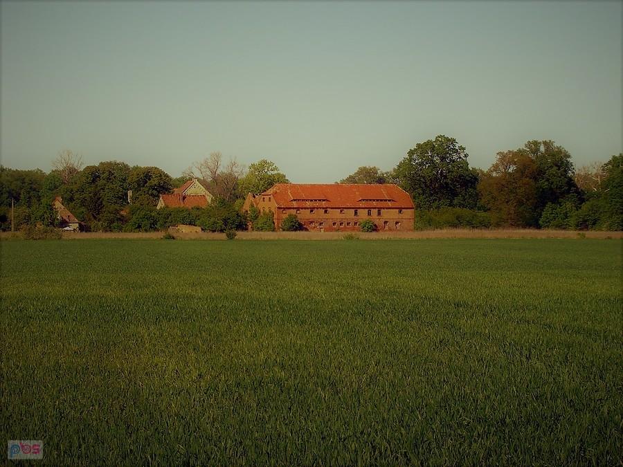 Zabudowania mieszkalno-gospodarcze z przełomu XIX i XX w. we wsi Mileszyn