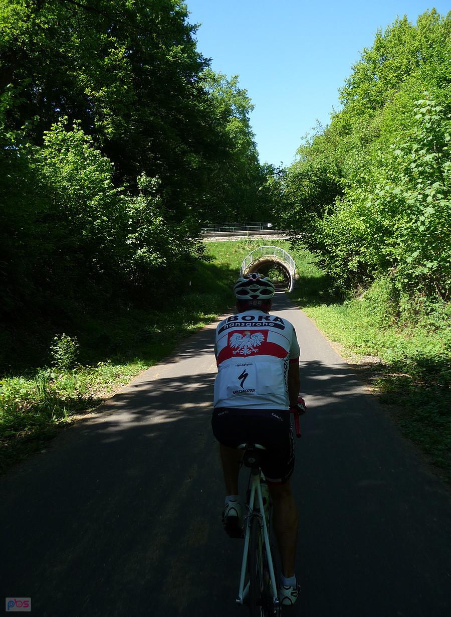 Rhein Giro
