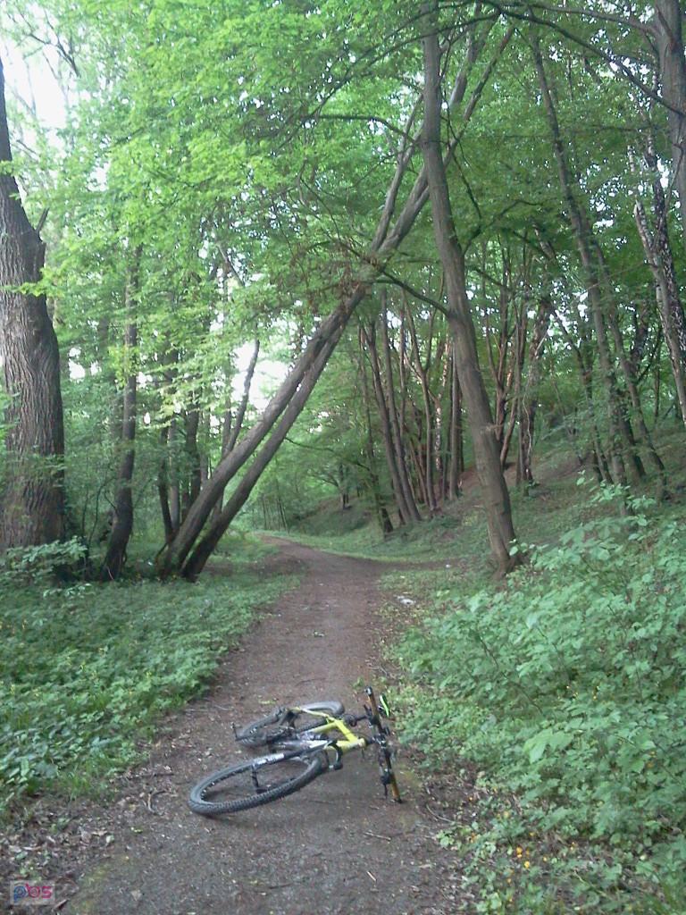 Rakowiec
