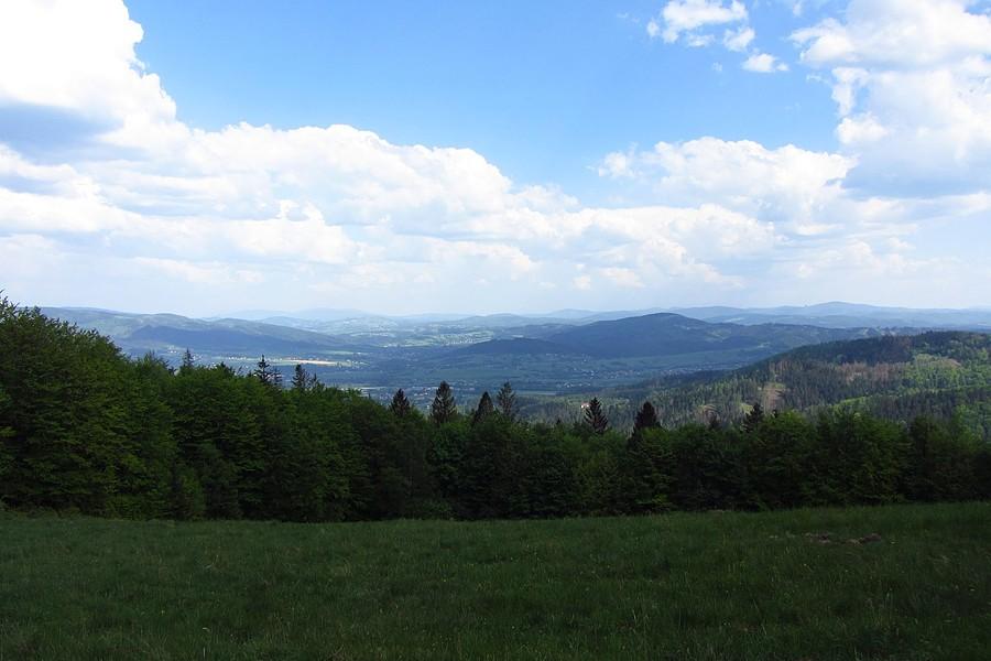 Widoczek 1