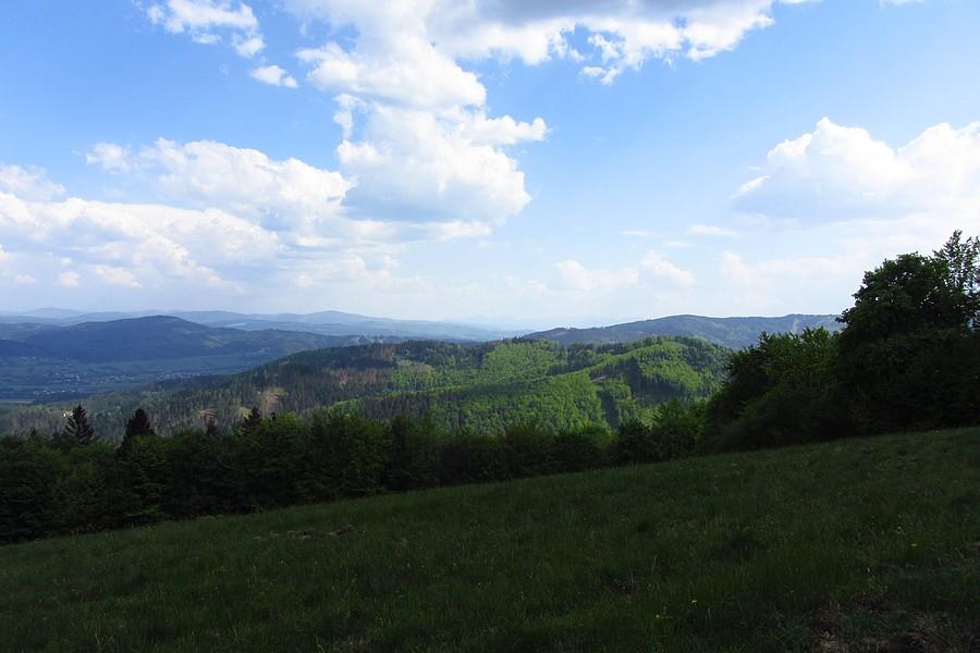 Widoczek 2