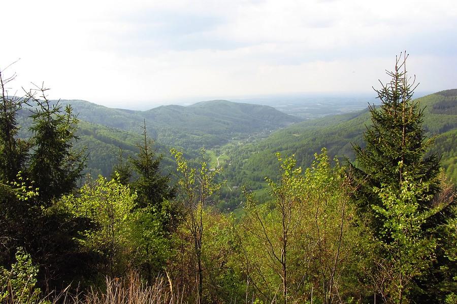 Widoczek 4