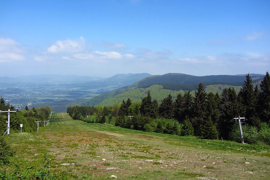 Widoczek