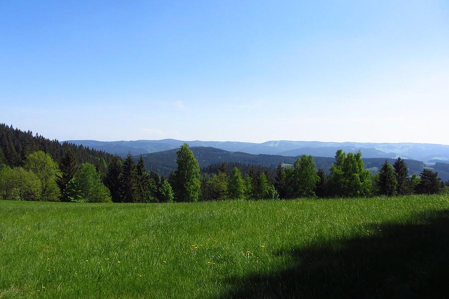 Widoczek 3