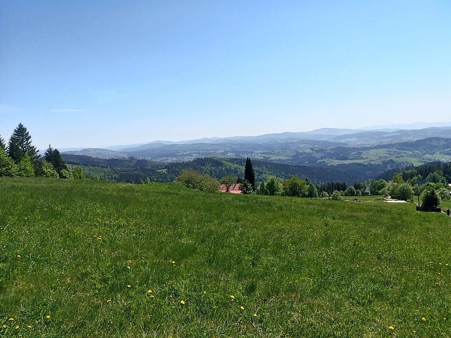 Widoczek