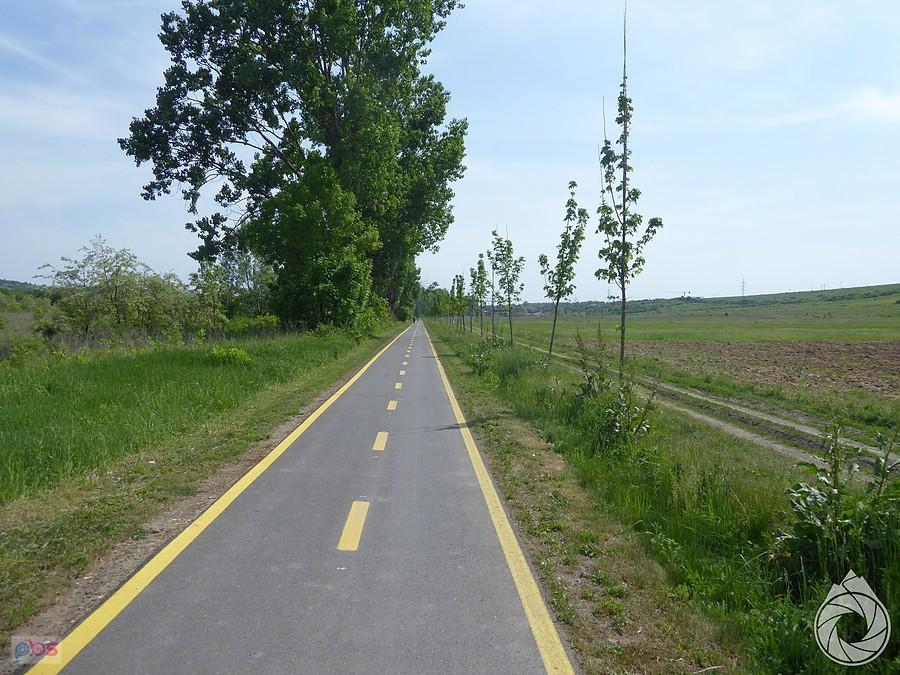 ścieżka rowerowa do centrum Egeru