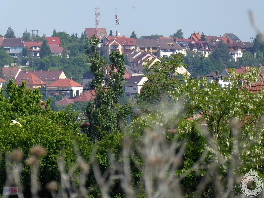 czerwone dachy Egeru