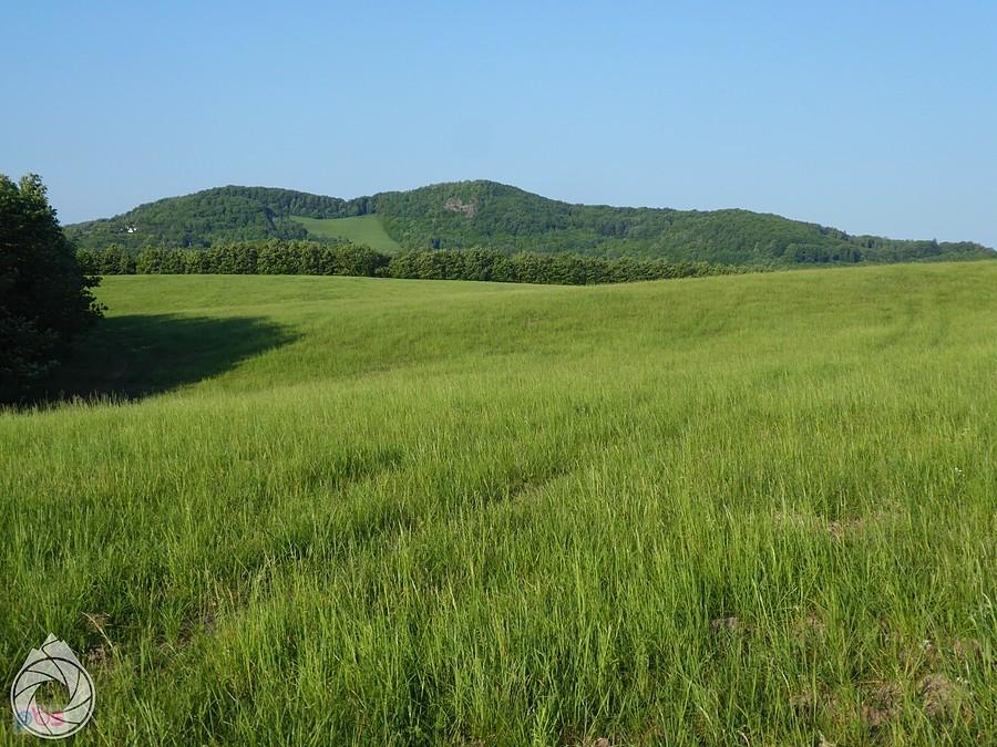 łąka nadbiwakowa
