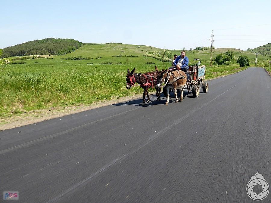 państwo Waksmundzcy wracają z Peru z osiołkami :P :P :P