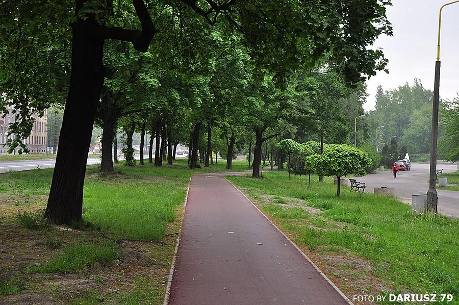 Sosnowiec Park Sielecki - Droga rowerowa wzdłuż ulicy 3 Maja