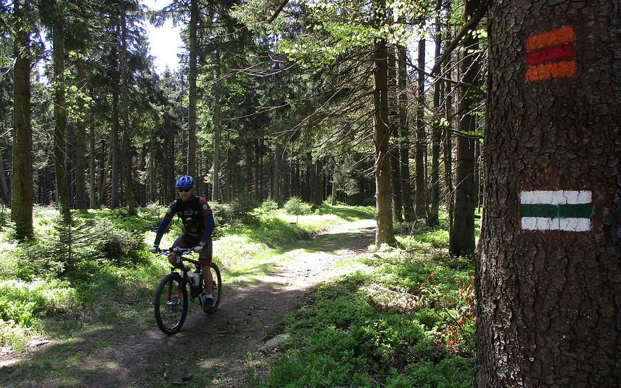 Po przerwie na Przełęczy Płoszczyna (817 m) jazda dalej. Trza było pokonać stromą ścianę