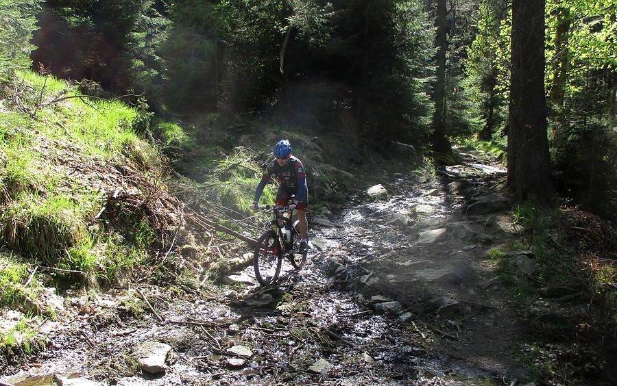 Zjazd zielonym w stronę Bielic to Pure MTB :)
