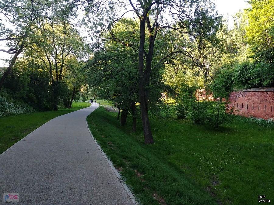 Ścieżka w parku