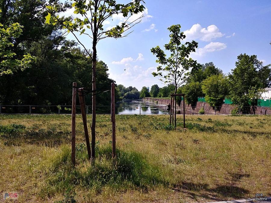 Port Praski.
