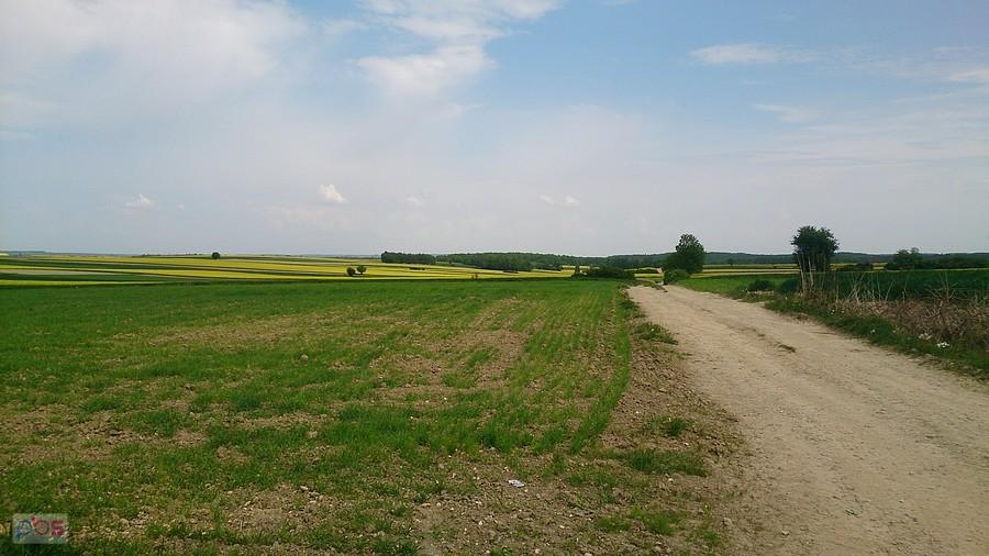 Polne drogi koło Krzczonowa