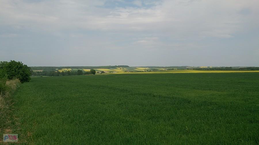 Widoki na Chmiel