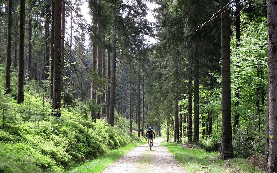 Wspinaczka niebieskim szlakiem na Przełęcz Suchą (1002 m)