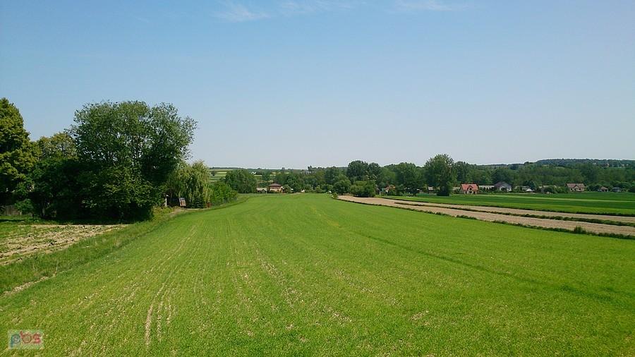 Prawie lato