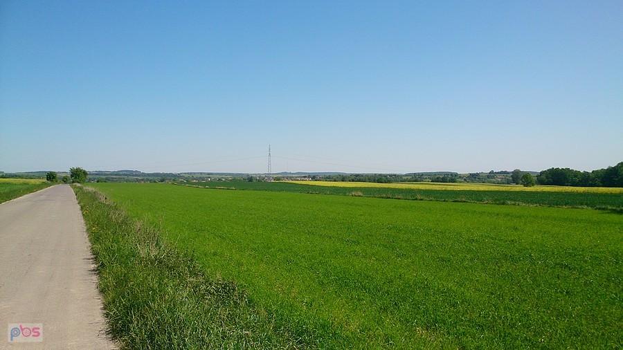 Widoki w Łęczycy
