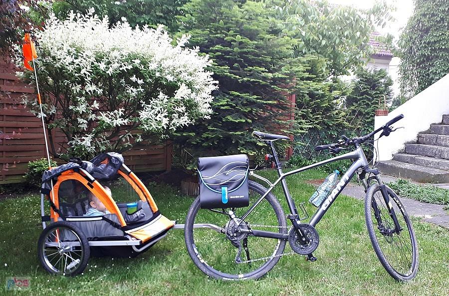Pierwsza jazda z przyczepką. Halfords Bike Trailer.
