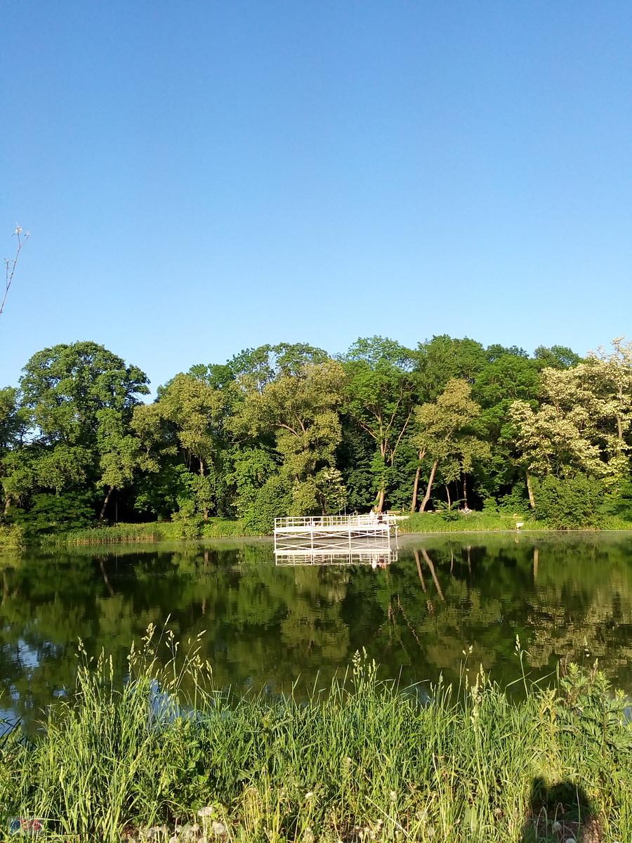 Staw w Ożarowie