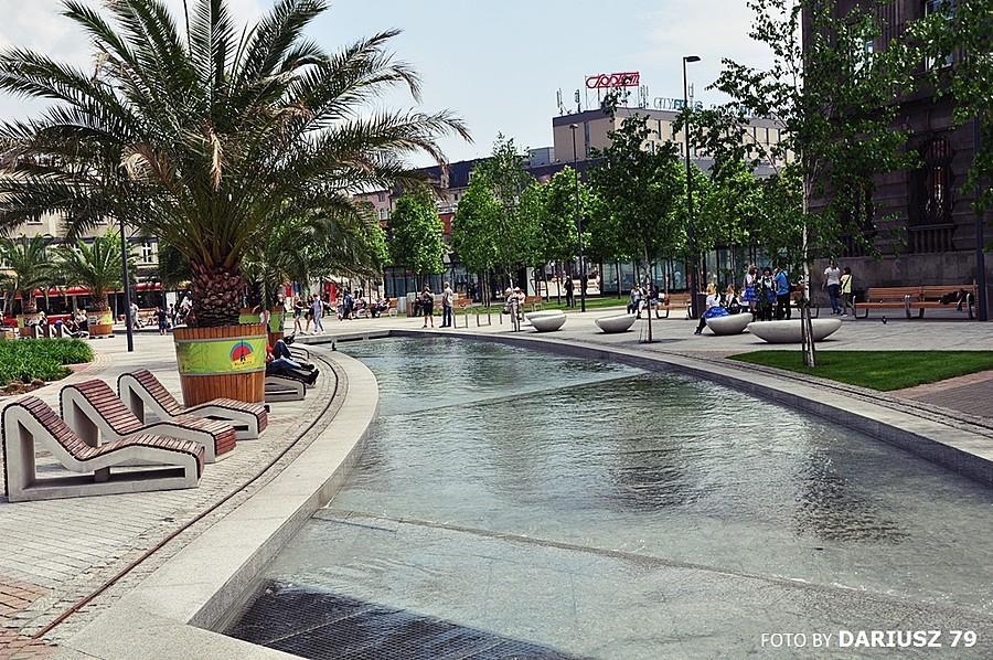 Katowice - Sztuczna Rawa - palmiarnia