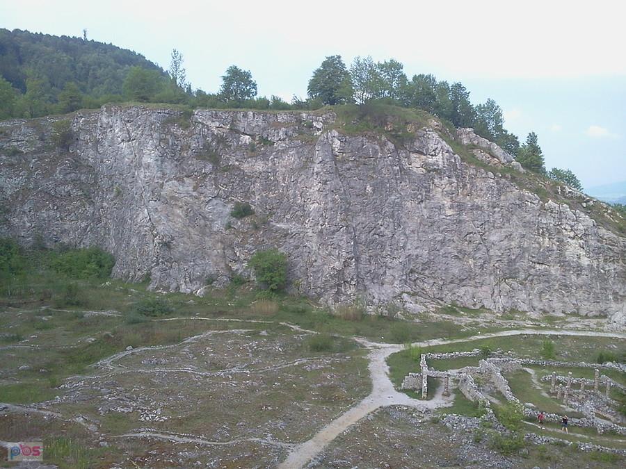 Arboretum z góry