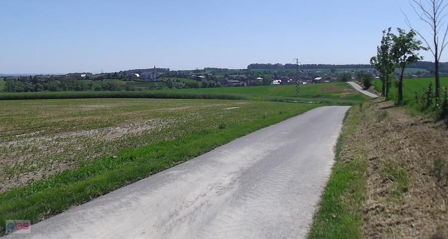 Z Vřesina do Darkovičky jadę ścieżką rowerową.