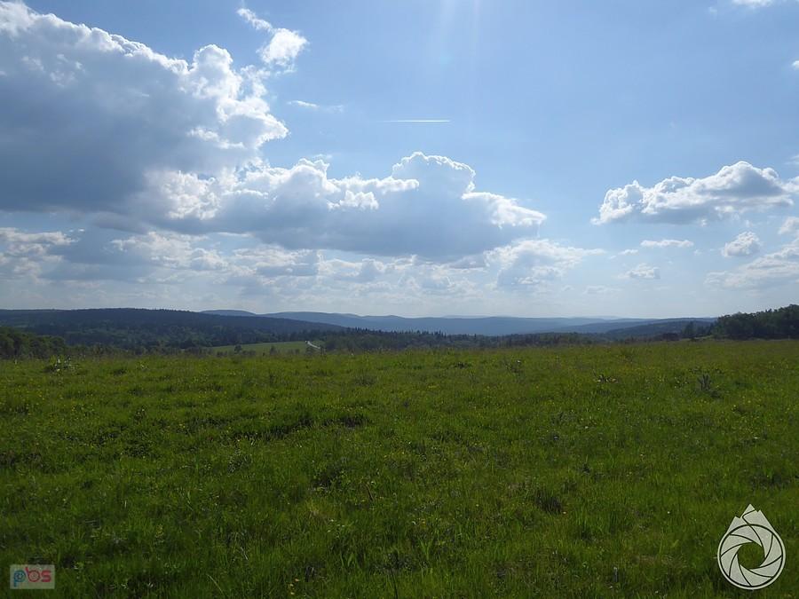 Tatry mocno zamglone, prawie niewidoczne, z polany nad Banicą