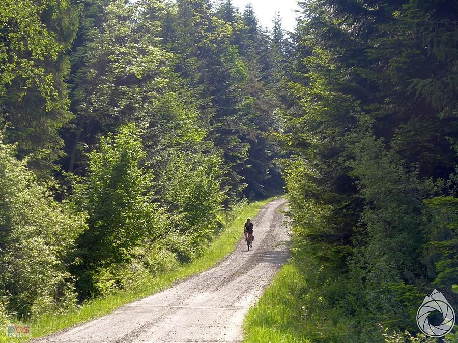 szutrówka do Bartnego