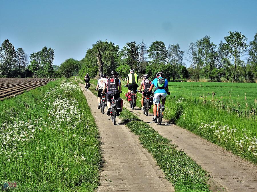 Wracamy do domu z Święta Kwiatów.