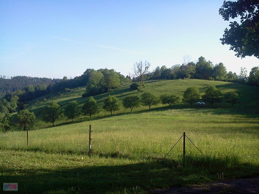 Wawrzykowa Góra