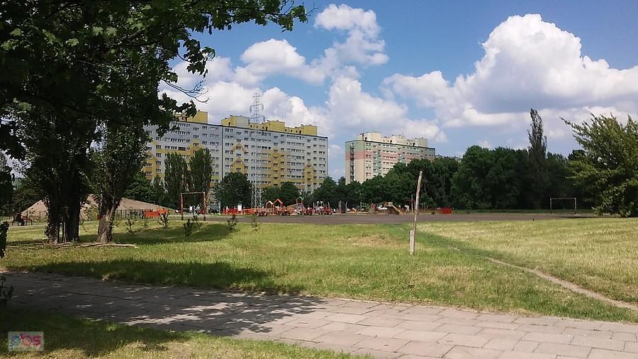 Żubardź