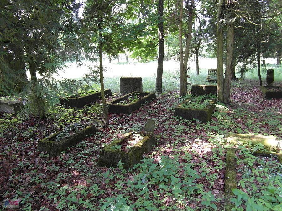 Cmentarz mennonicki - Barcice