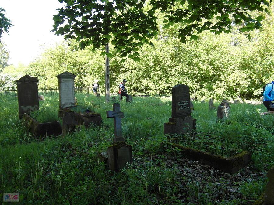 Cmentarz mennonicki - Barcice