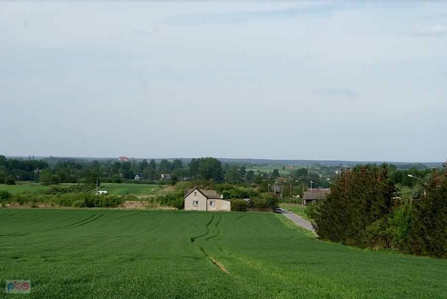 Okolice Przysuchy