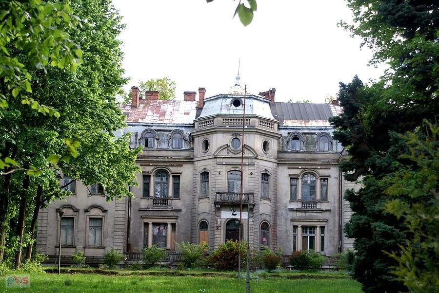 Pałac w Borkowicach
