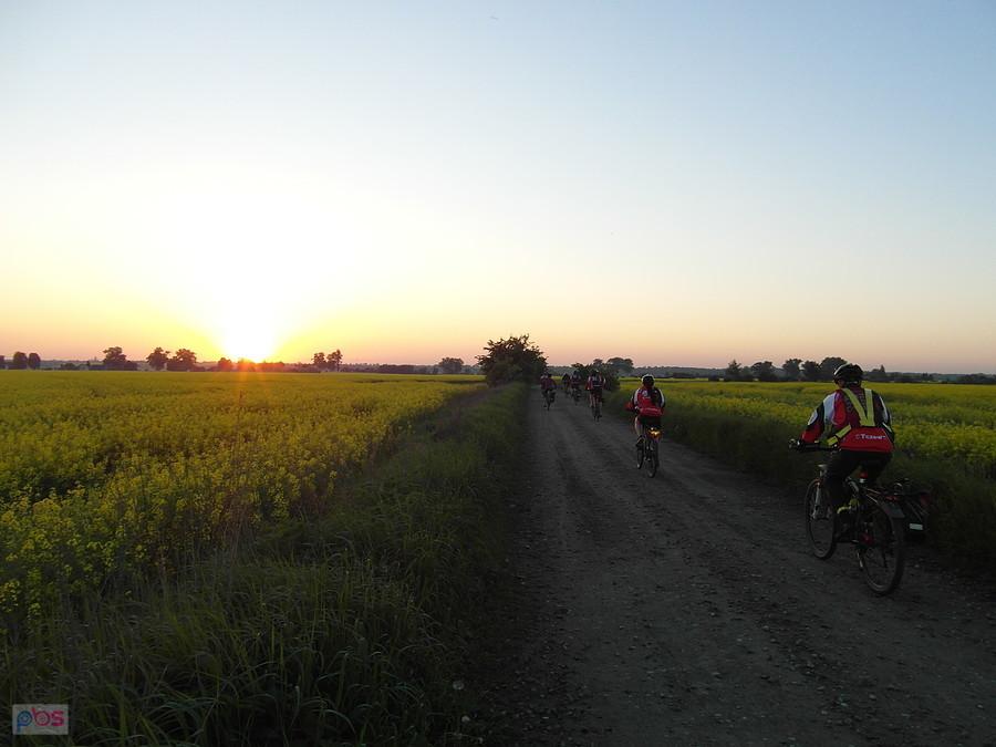 Dolina Dolnej Wisły – kierunek Tczew
